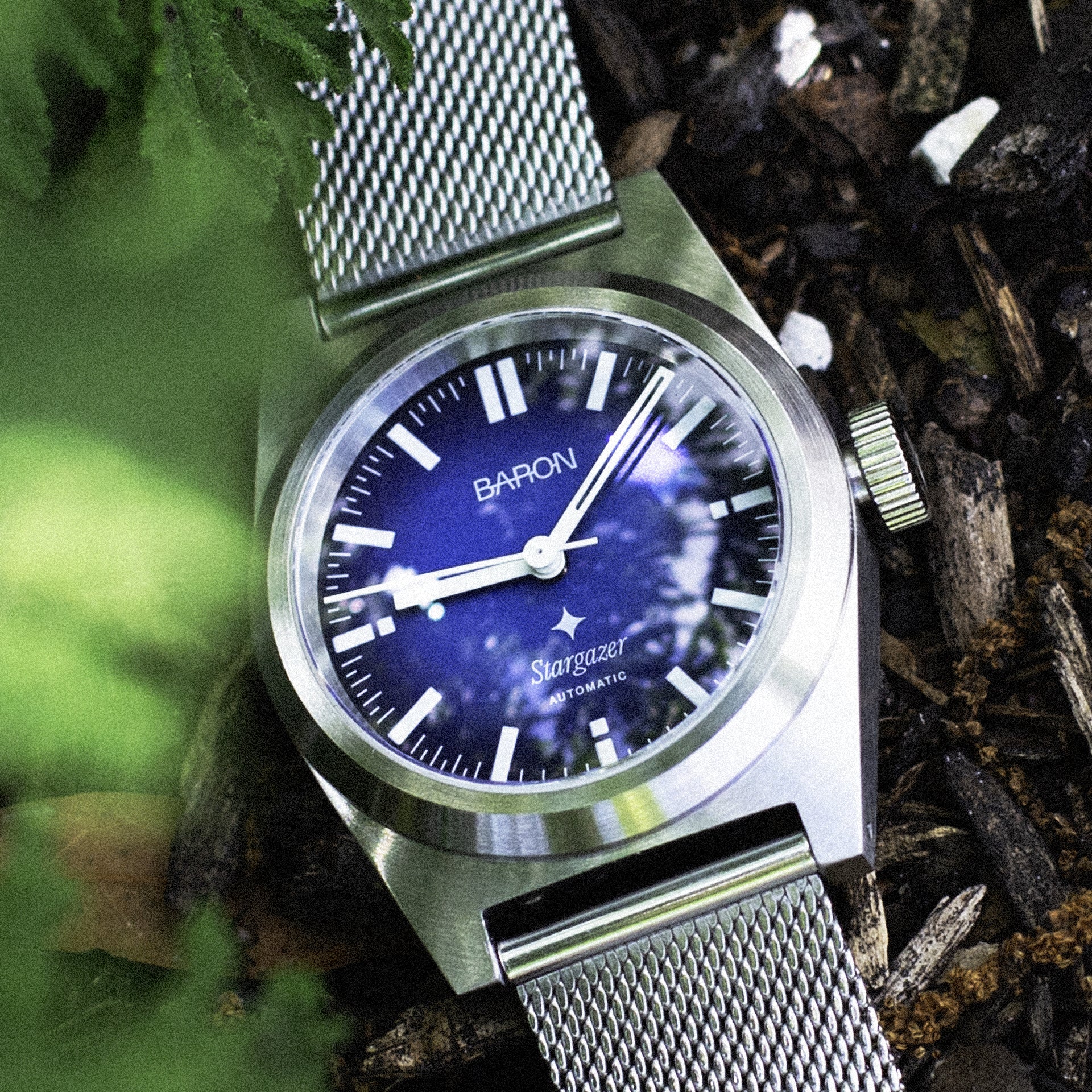 Silver watch with blue face on a natural background